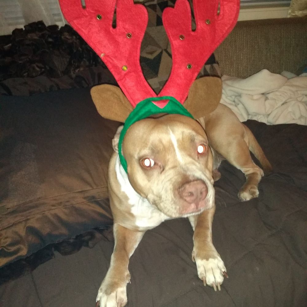 Meet your Posher, Young